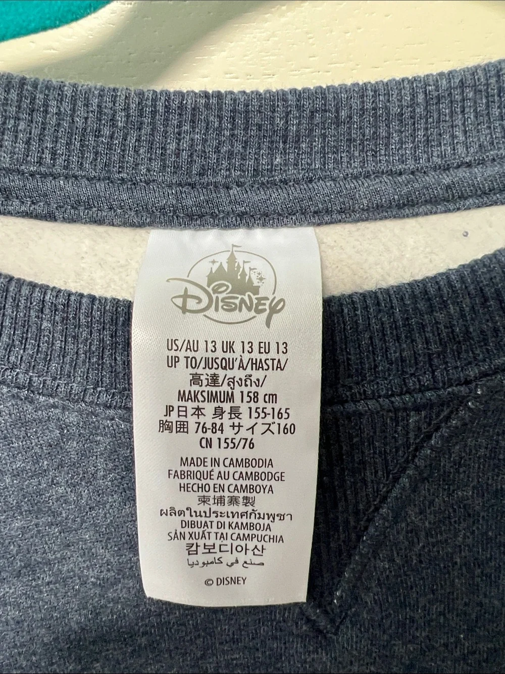 NWT Walt Disney World youth large sweatshirt